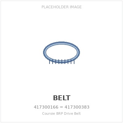 Couroie BRP Drive Belt